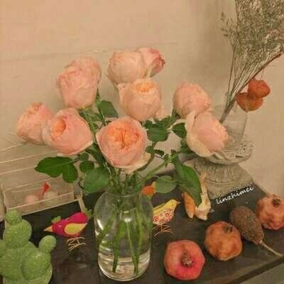 开云集团手机app下载